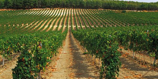 FhIxr0xae9hTxakpkhzEe4ZyHQ34X8clvSgPr0yHcrQK3Mydv0_rSOs3VDKH_DNpuL9GWot63kjjultou6emluOmA7X1-2