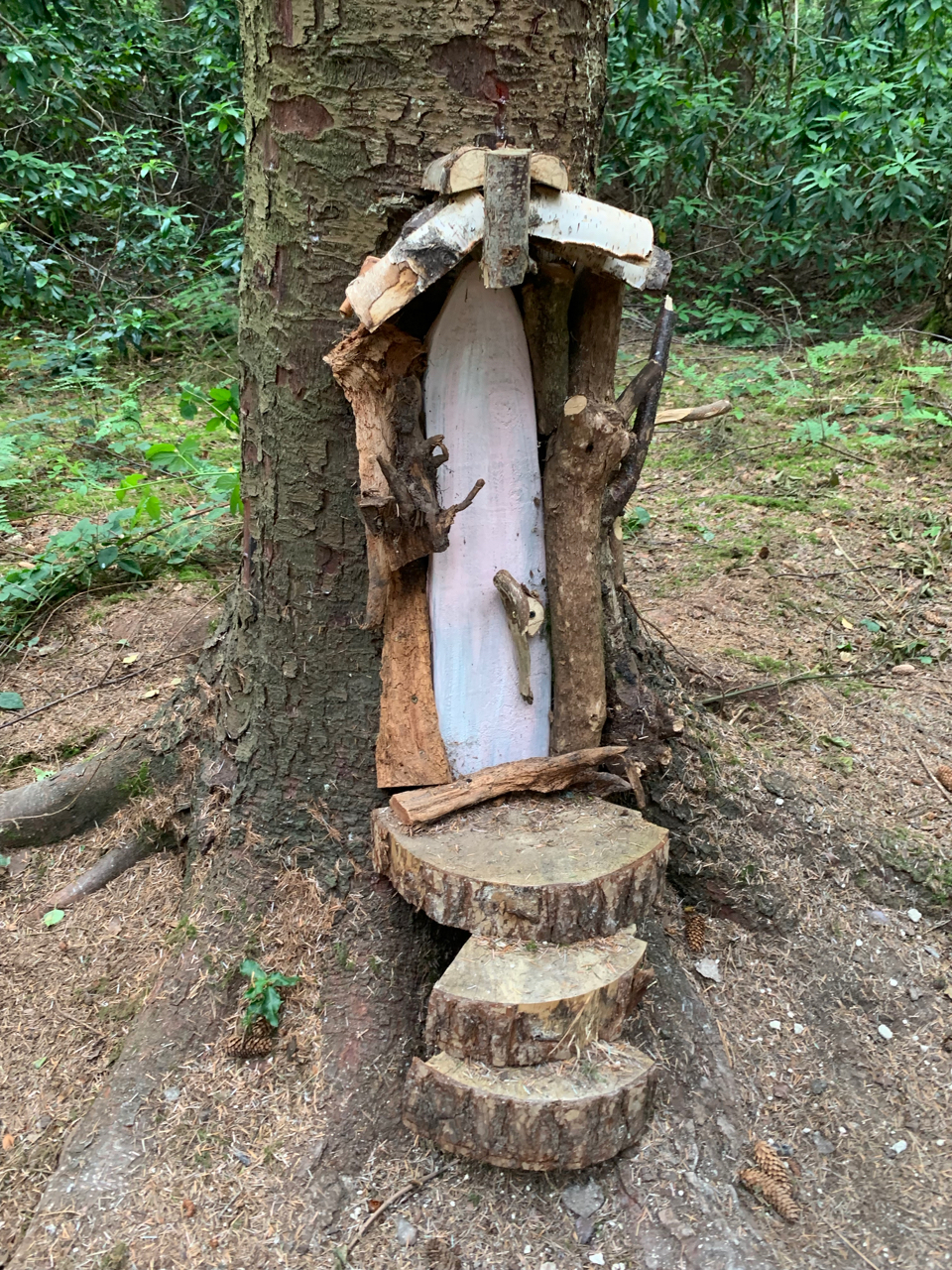 Searching for fairies in Northwood Trail Fairy Sanctuary - York on a Fork